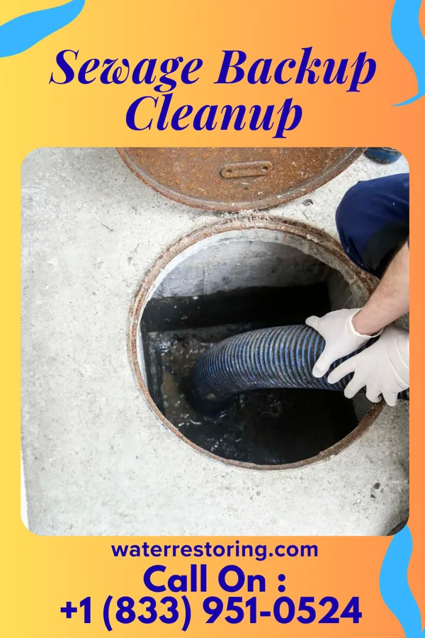 Sewage Backup Cleanup in Cuba, MO